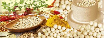 吃錯(cuò)了會(huì)生病:莫讓調(diào)味品奪健康